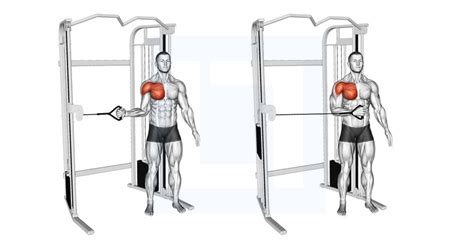 Image result for What Is Shoulder Internal Rotation