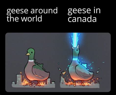 Afbeeldingsresultaten voor Data Science Goose Meme