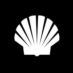 Image result for Shell Org Icon Background