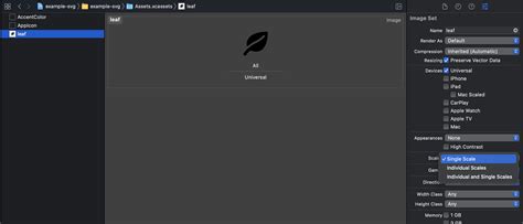 Toradh íomhá ar Xcode SVG