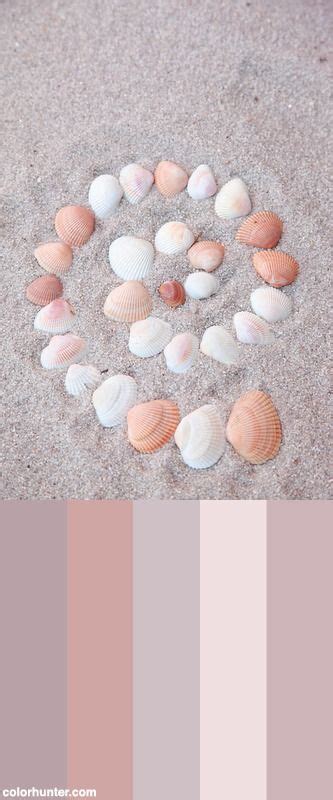 Image result for Seashell Color Schemes