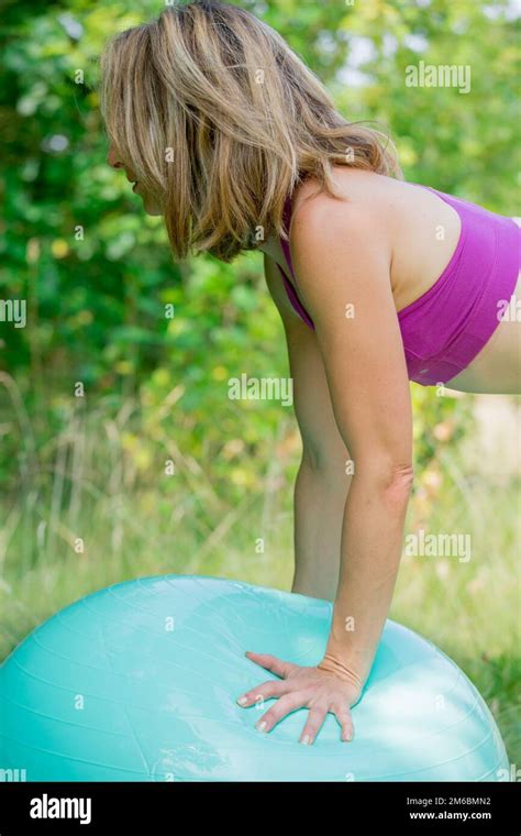 Seated Hamstring Curl Exercise に対する画像結果