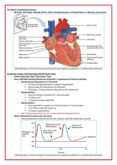 Image result for Evidence Chart Cardio