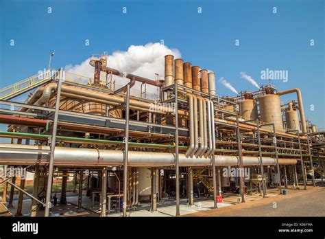 Image result for Sugar Cane Factory and Field