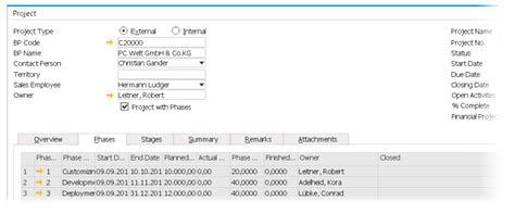 Image result for SAP B1 Project Module