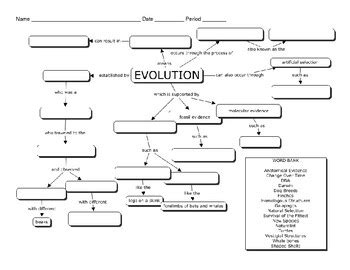 Image result for Evolution Concept Map Answer Key