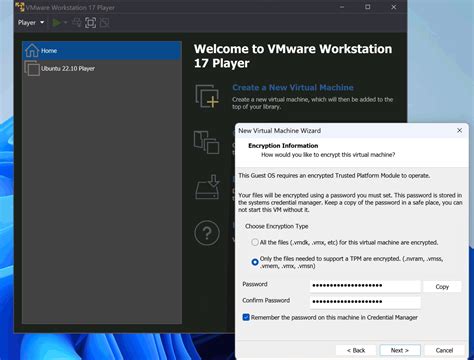 Afbeeldingsresultaten voor Credential Manager VMware Workstation