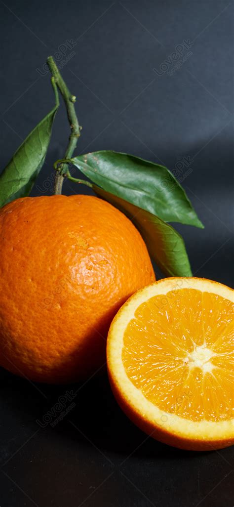 Image result for Orange Chest Protector