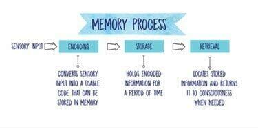 Image result for The Memory Process