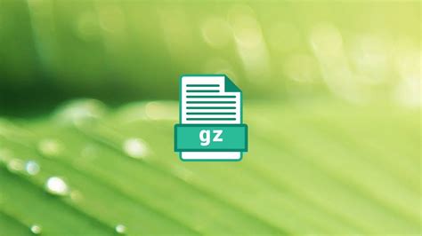 Image result for Open Gzip File