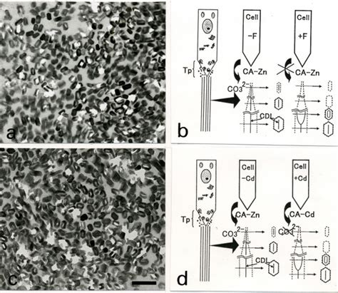 Afbeeldingsresultaten voor Crystal Structural Defects