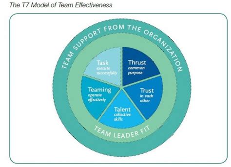 Hackman Model of Team Effectiveness に対する画像結果