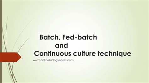 Image result for Batch Fermanor