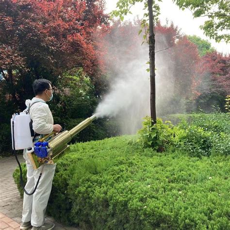 Pest Control Fogging Machine-க்கான படிம முடிவு