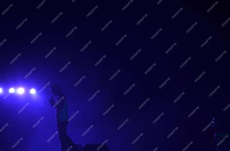 Image result for What Is a Side View in the Concert