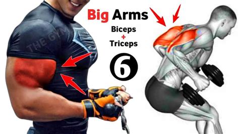 Best Bicep and Tricep Exercise Method に対する画像結果