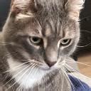 Diadem Type Soul に対する画像結果