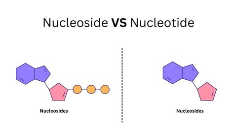 Image result for site:sciencecodons.com