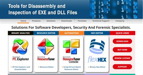 Image result for Process Explorer Strings Dll