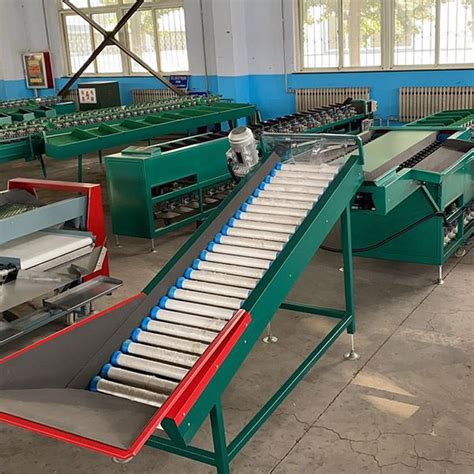 Image result for Sorting Pomegranate Machine