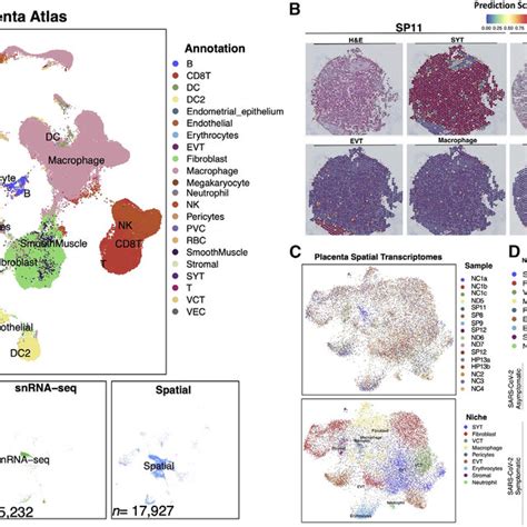 Image result for Type of Transcriptomics