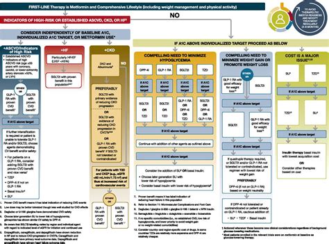 Afbeeldingsresultaten voor Insulin Algorithm Type 2 Diabetes