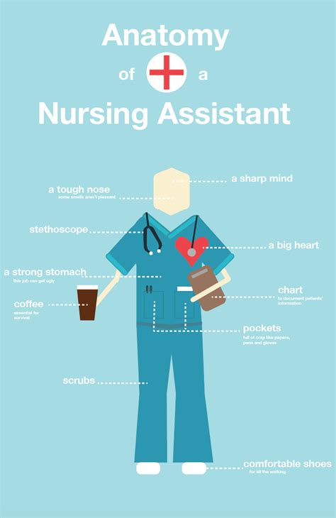 Image result for Nursing Assistant Skills