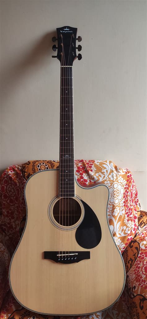 Image result for Amplifiers