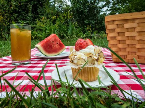 Image result for Huntsman Spider Arizona