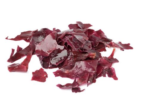 Toradh íomhá ar What Does Minecraft Seaweed Look Like