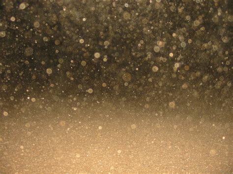 Image result for Clumpy Dust