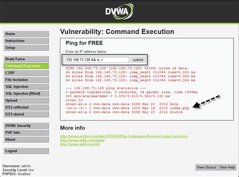 Command Injection Secure Coding に対する画像結果
