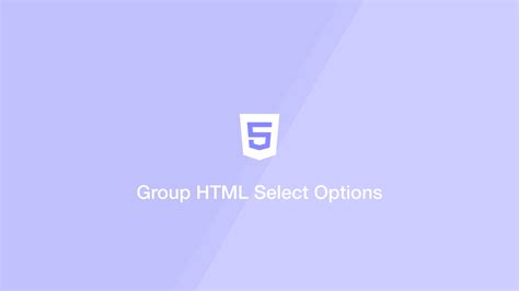 Image result for Option Group HTML