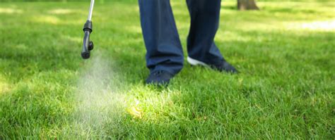 Image result for Weed Control Spraying
