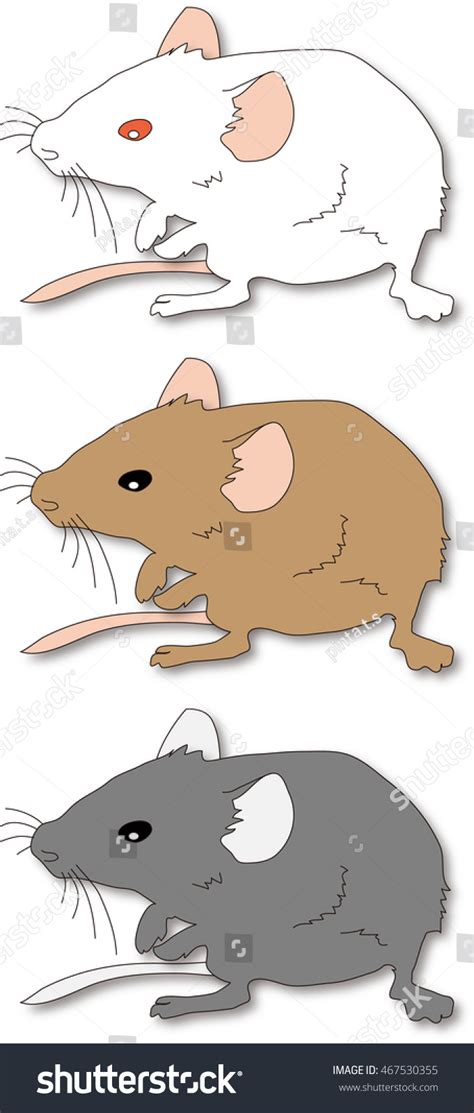 Image result for Vector Image of a Lab Mouse
