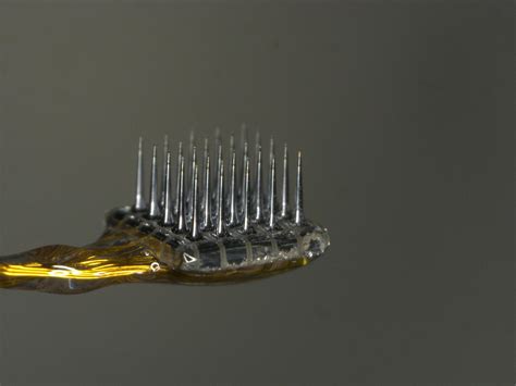 Afbeeldingsresultaten voor Utah Array