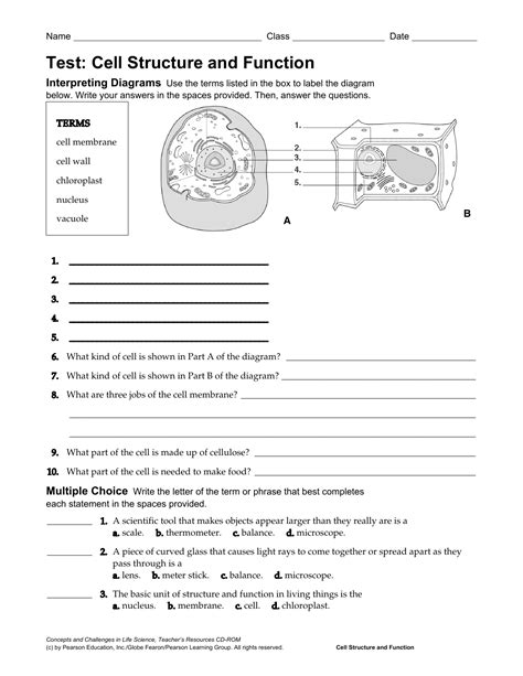 Image result for 7th Grade Cell Structure Worksheet