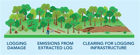 Bildergebnis für Logging Infrastructure Strategy