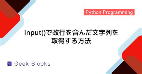 Programmer Input Python に対する画像結果