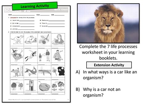 Image result for Live Process Worksheet
