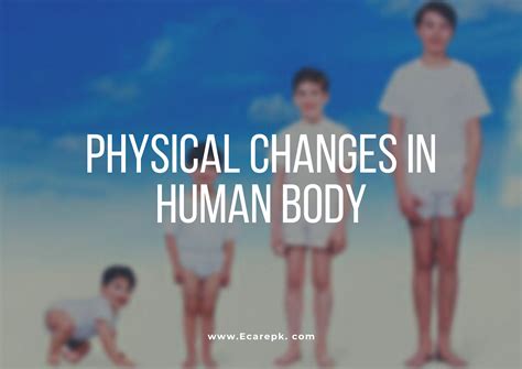 Image result for Human Physical Changes