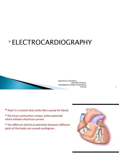 Afbeeldingsresultaten voor ECG Study
