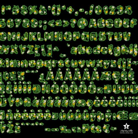 Afbeeldingsresultaten voor Type Character Map Keyhole