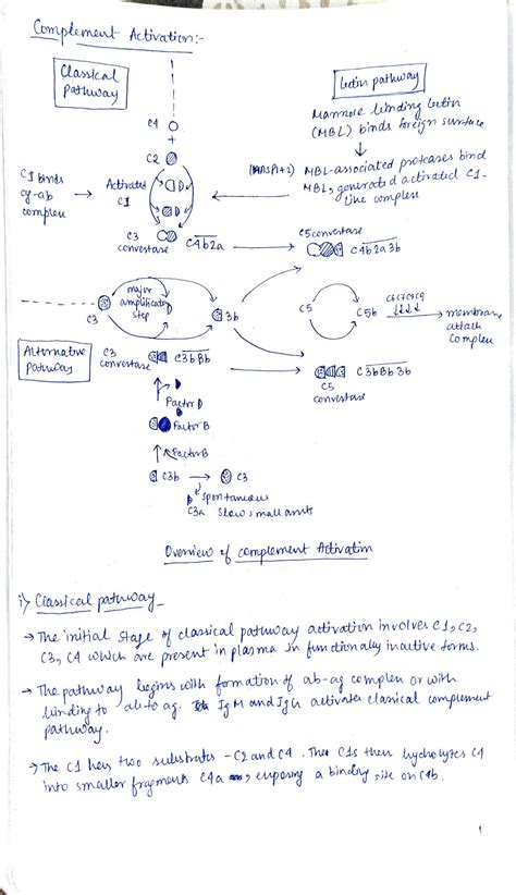 Toradh íomhá ar Classical Pathway Complement System MCAT