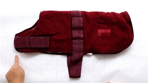 Image result for How to Make a Thundershirt for My Dog