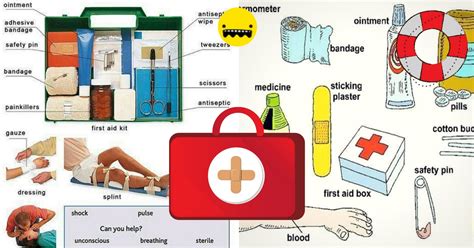Image result for First Aid Contents