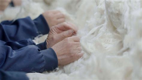 Image result for How Is Wool Processed