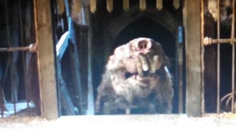 Princess Bride Swamp Rat に対する画像結果