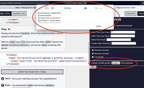 Toradh íomhá ar Writre Box HTML Code